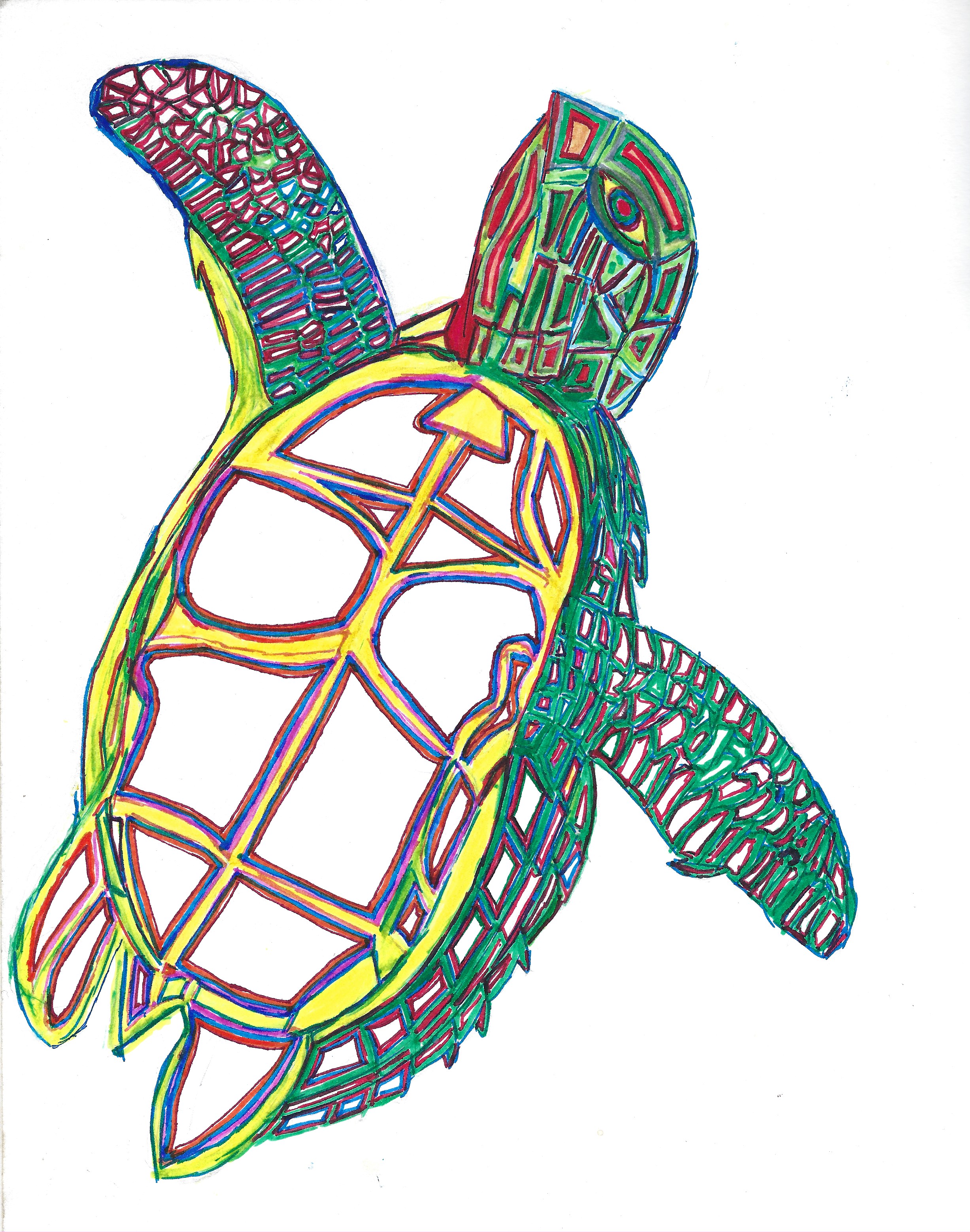 Green Sea Turtle Original Art Work